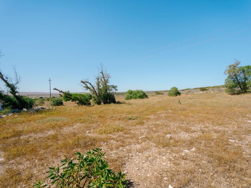 A view of a vacant residential plot featuring natural vegetation and a utility pole under a clear blue sky.