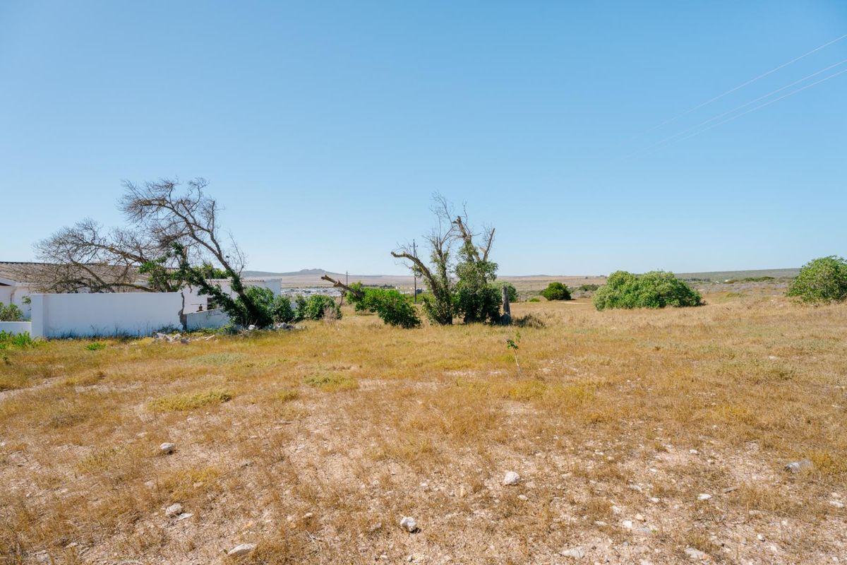 A view of the vacant residential land featuring dry vegetation and a partial boundary wall, offering potential for future development.