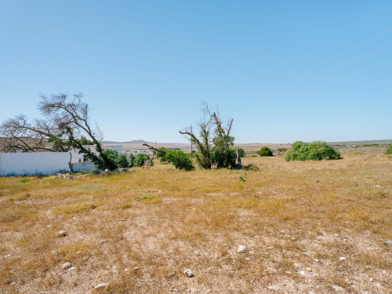 A view of the vacant residential land featuring dry vegetation and a partial boundary wall, offering potential for future development.