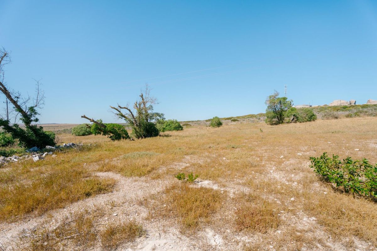 A view of a vacant residential plot featuring natural dry grass and scattered indigenous vegetation under a clear blue sky.