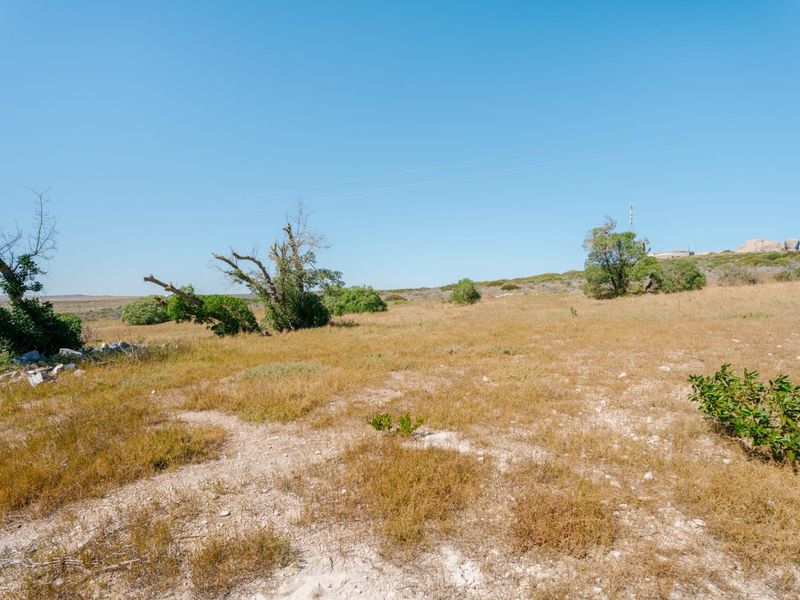 A view of a vacant residential plot featuring natural dry grass and scattered indigenous vegetation under a clear blue sky.