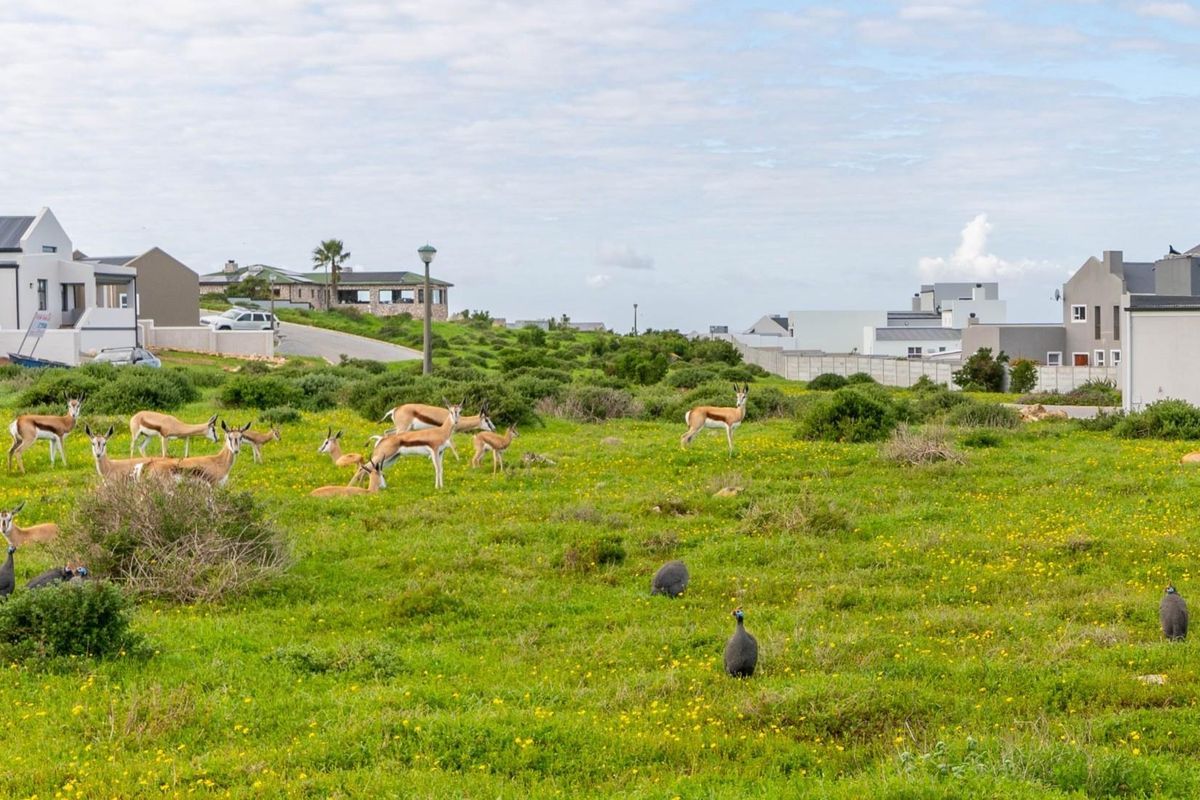 A view of a vacant residential plot featuring natural vegetation and surrounding residential properties in a quiet estate setting.