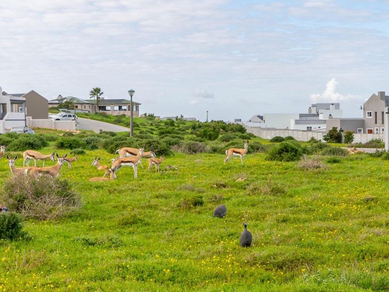 A view of a vacant residential plot featuring natural vegetation and surrounding residential properties in a quiet estate setting.
