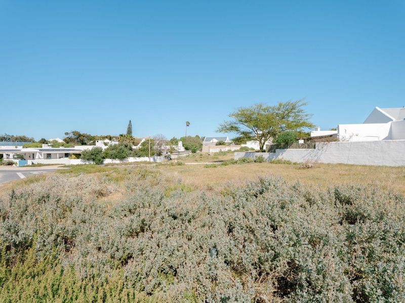 A vacant residential plot featuring natural vegetation, bordered by a boundary wall with established neighborhood homes visible in the background.