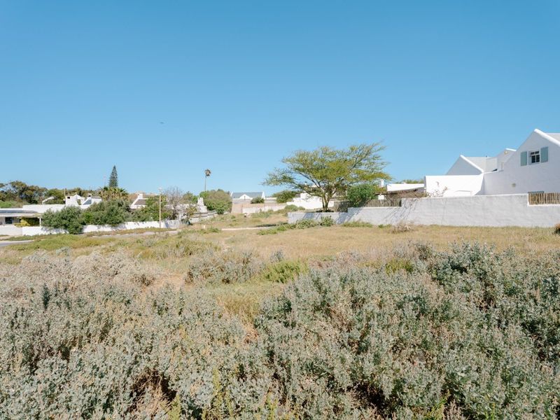 A vacant residential plot featuring natural vegetation and boundary walls, situated in a established neighborhood setting.