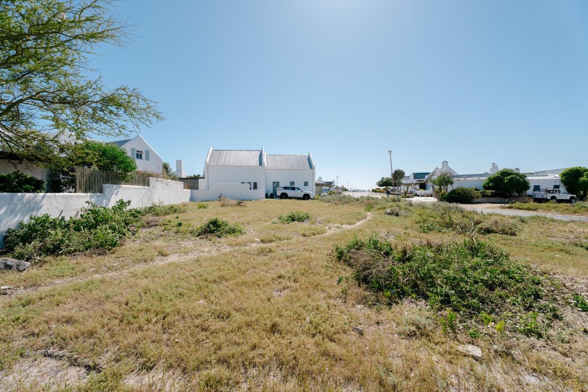 A vacant residential plot featuring natural vegetation and a boundary wall, situated in a developed neighborhood setting.