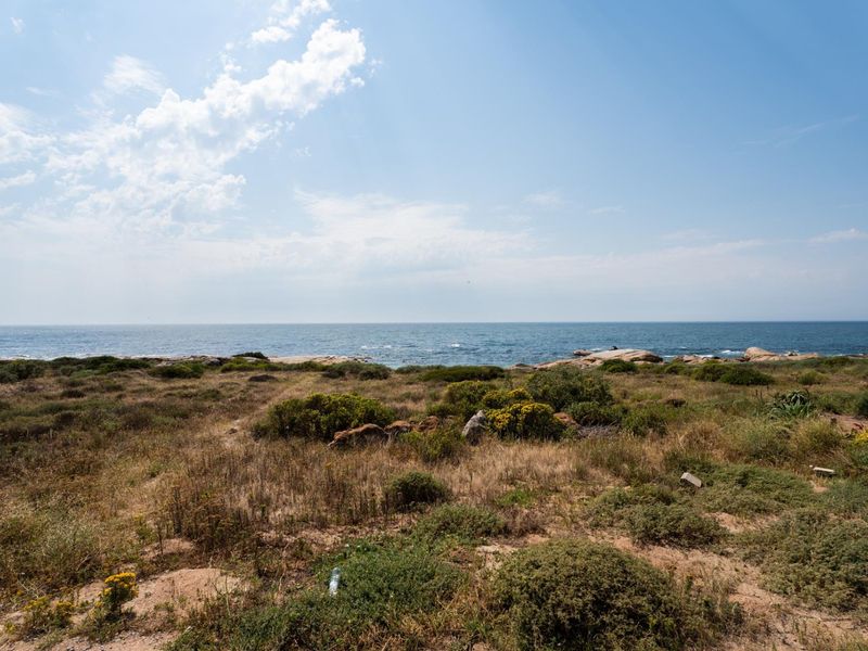 A scenic view of the coastal landscape and ocean frontage, showcasing the natural terrain of the vacant residential property.