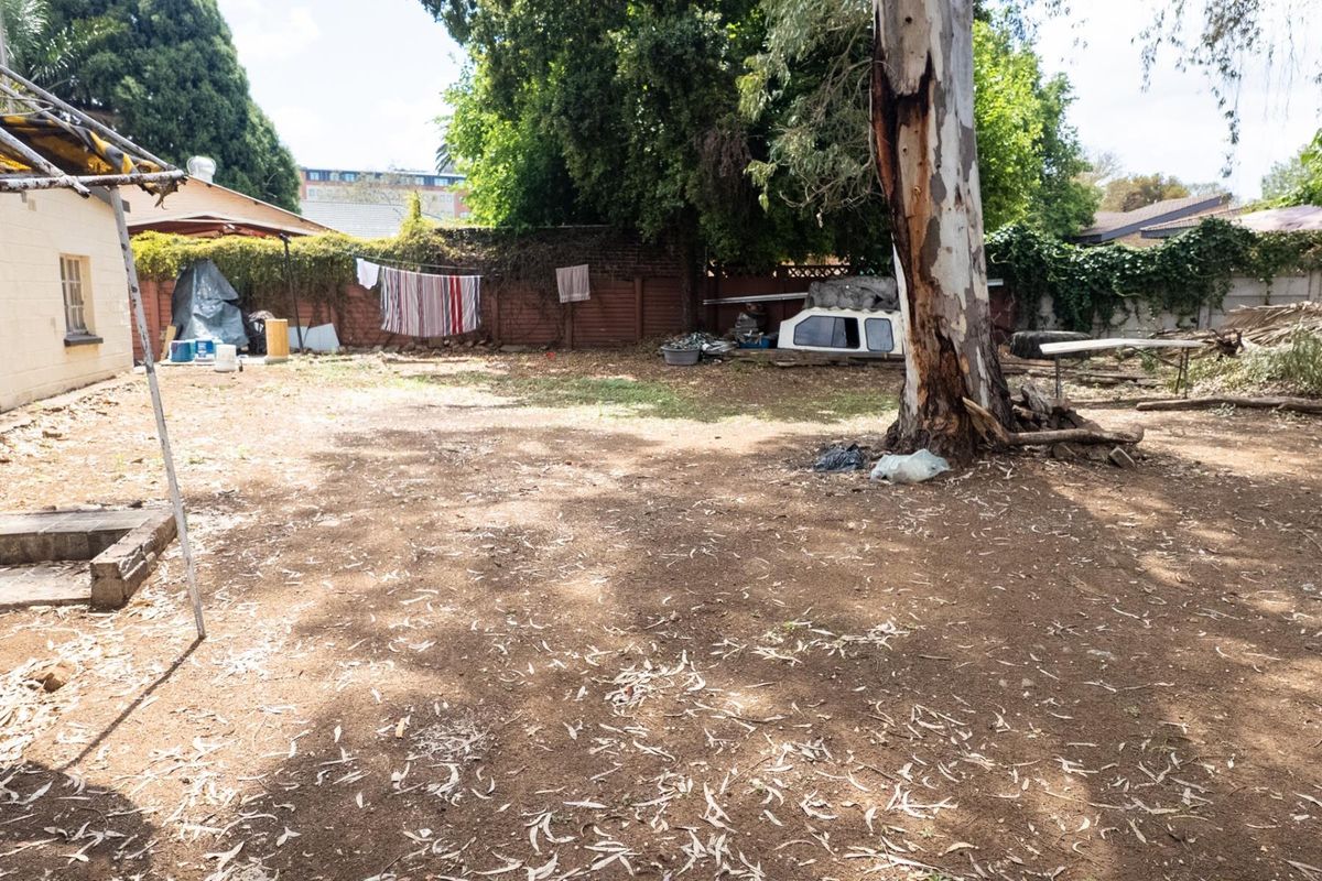 A spacious backyard area featuring a large mature tree and perimeter brick boundary walls, offering significant potential for landscaping and outdoor improvement.