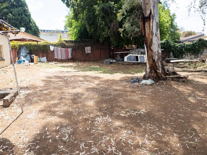 A spacious backyard area featuring a large mature tree and perimeter brick boundary walls, offering significant potential for landscaping and outdoor improvement.