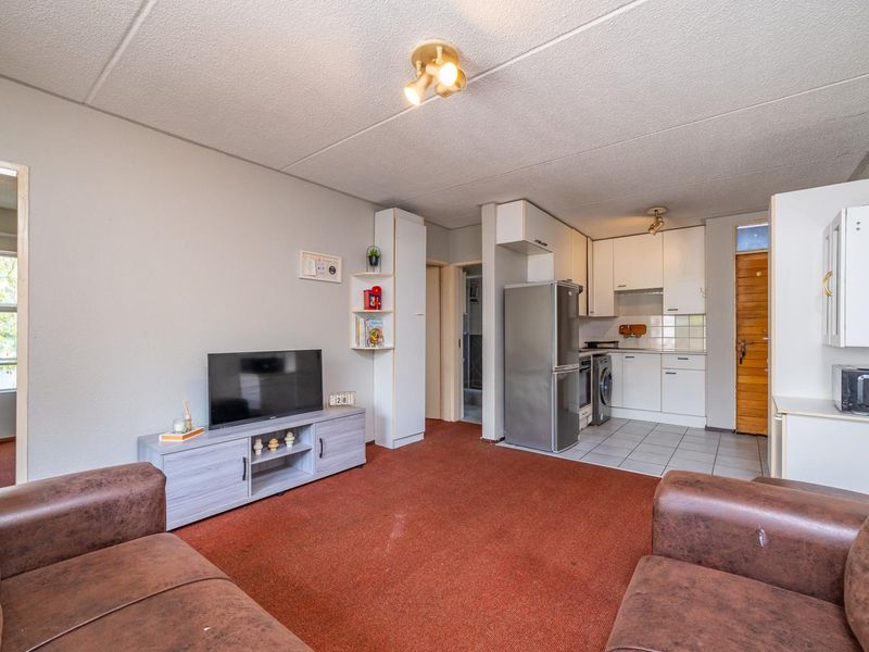 Open-plan living area featuring a compact kitchen with built-in cabinetry and a combined lounge space with carpeted flooring.