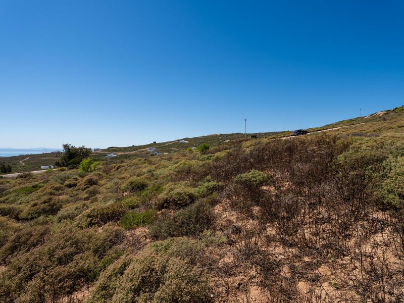 A wide-angle view of the sloped, undeveloped residential land featuring natural coastal vegetation and distant ocean views.
