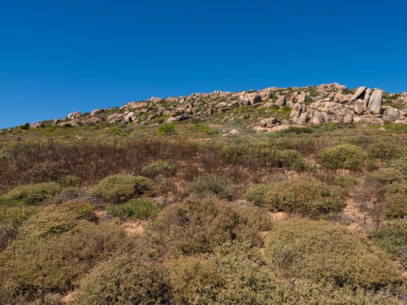 A view of a natural rocky hillside with native vegetation, showcasing the undeveloped landscape of the residential property.