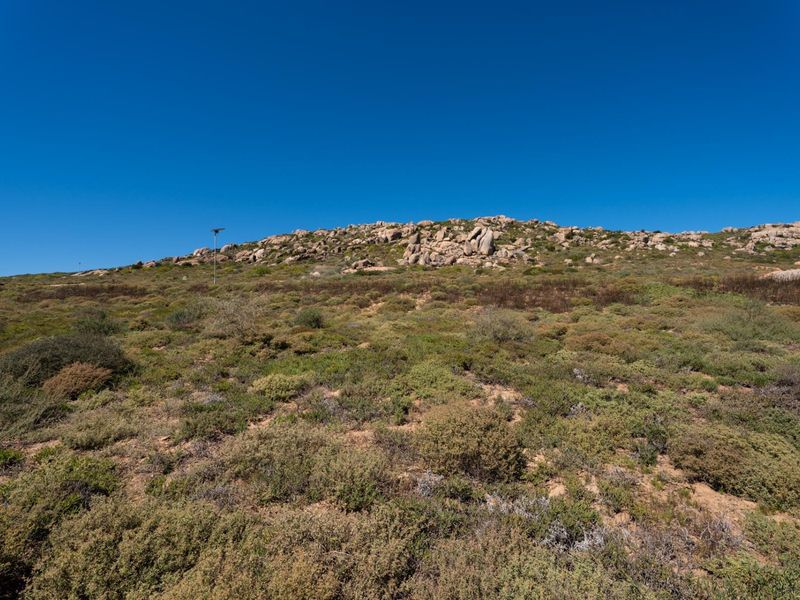 A view of a vacant residential plot featuring natural rocky terrain and indigenous coastal vegetation under a clear blue sky.