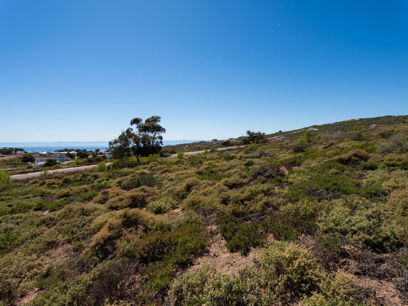 A scenic view of the vacant residential land featuring natural coastal vegetation and distant ocean vistas.