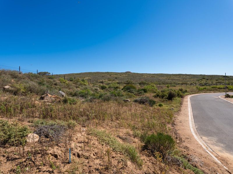 A view of the vacant residential land plot adjacent to an asphalt road, featuring natural vegetation and perimeter fencing.