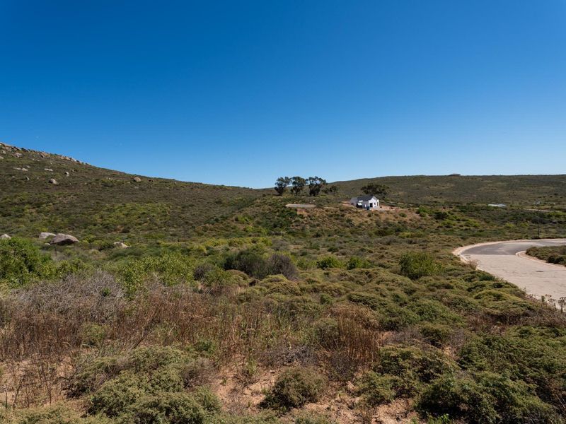 A wide-angle view of a vacant residential plot featuring natural fynbos vegetation and an adjacent paved road.