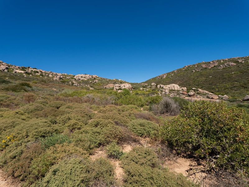 A scenic view of the natural landscape featuring indigenous vegetation and rock formations on the vacant residential property.