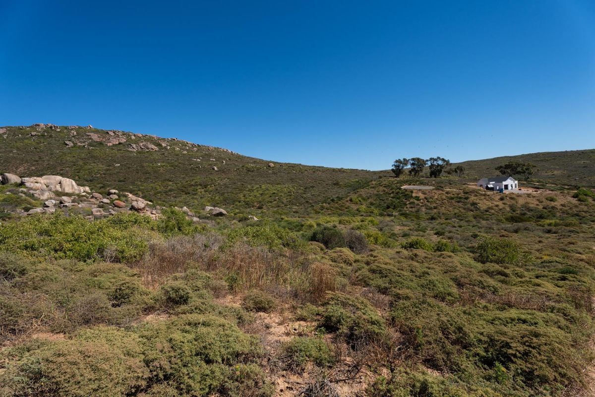 A wide-angle view of the expansive natural landscape, featuring native vegetation, rocky terrain, and distant hills under a clear blue sky.