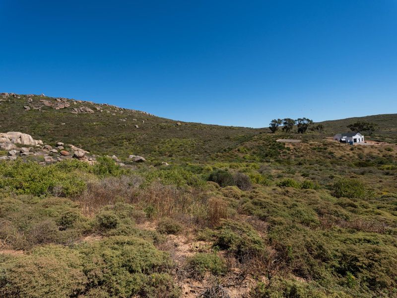 A wide-angle view of the expansive natural landscape, featuring native vegetation, rocky terrain, and distant hills under a clear blue sky.