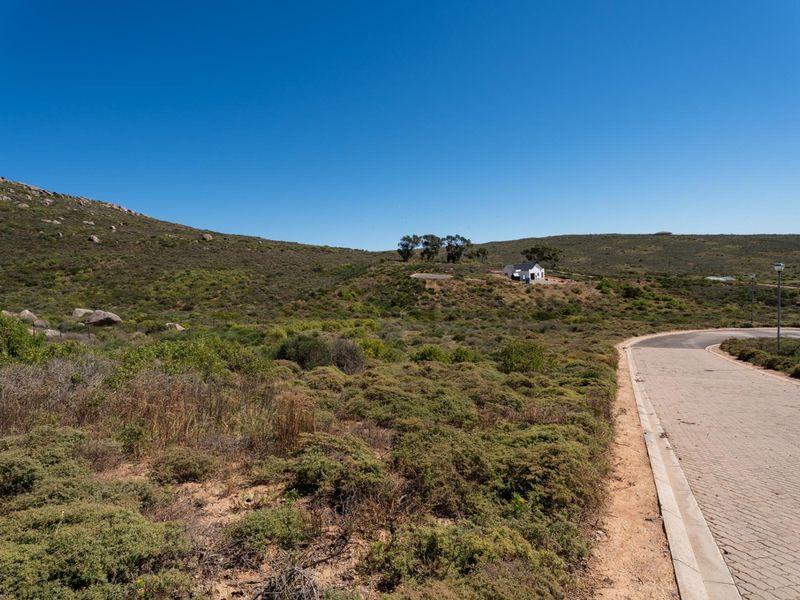 A view of the paved street and surrounding natural landscape, showcasing the vacant residential land and access road.