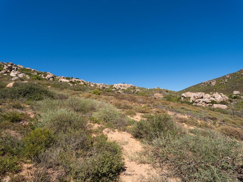 A view of the natural, undeveloped residential land featuring indigenous vegetation, rocky terrain, and clear blue skies.