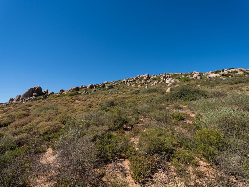 A view of the natural, undeveloped residential land featuring native vegetation and rock formations under a clear blue sky.