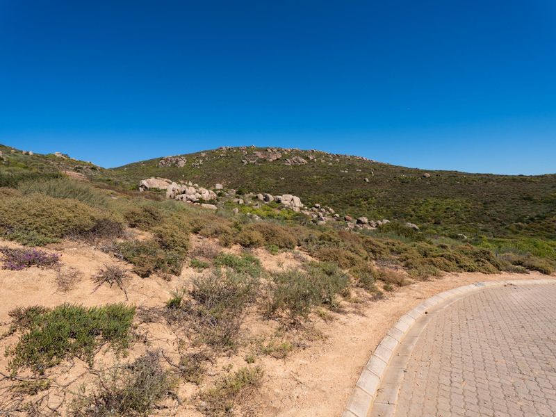 A view of the natural landscape and rocky hillside adjacent to a paved residential road.