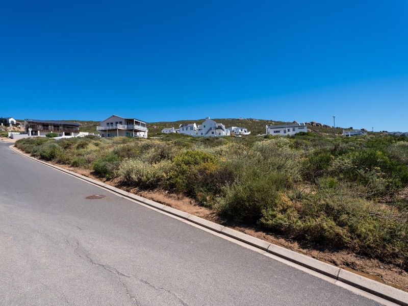 A street-level view of a vacant residential plot featuring natural coastal vegetation, adjacent to an established asphalt road with concrete curbing.