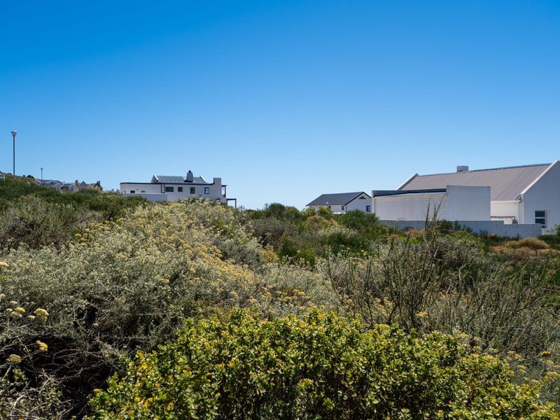 A view of a vacant residential plot featuring native fynbos vegetation with surrounding residential properties in the background.