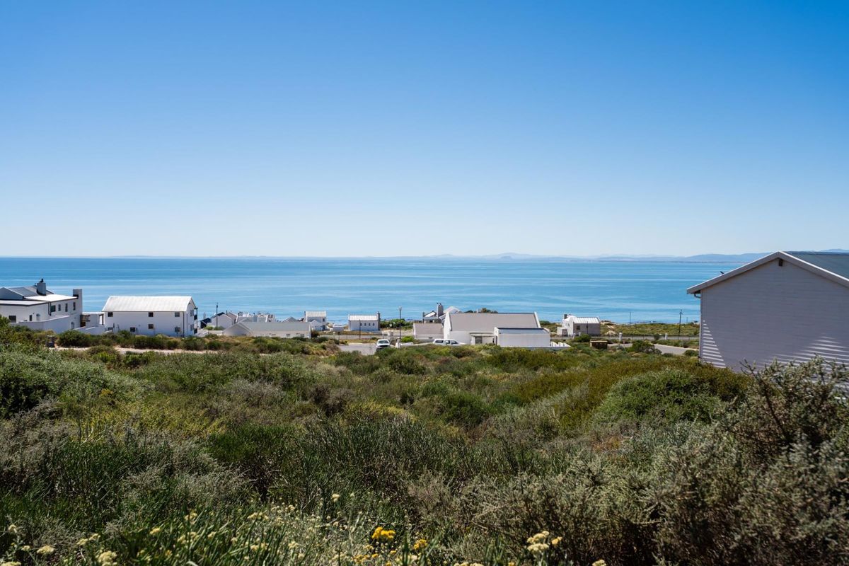A scenic view overlooking the coastal landscape and ocean, showcasing the surrounding residential neighborhood and natural vegetation.