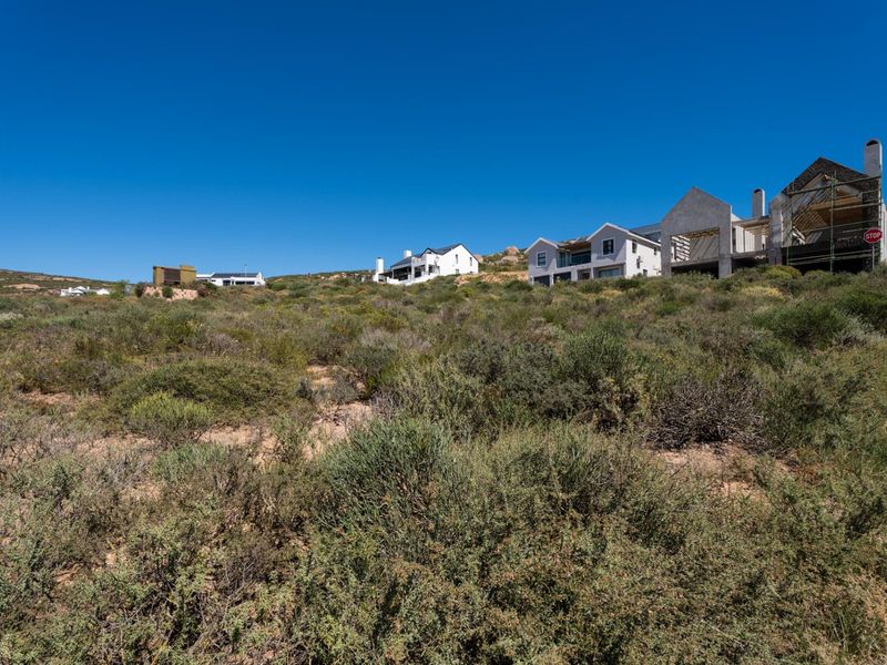 A view of a vacant residential plot featuring natural fynbos vegetation with established neighboring homes visible in the background.