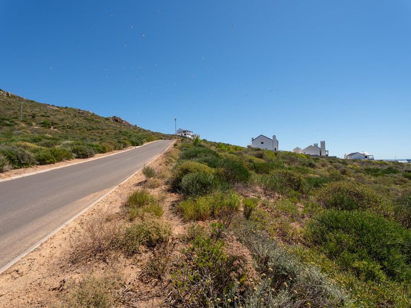 A view of the asphalt access road winding through the residential estate, featuring natural coastal vegetation and surrounding hillside homes.
