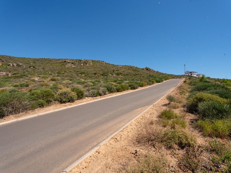 A view of a paved residential street leading up a hill, surrounded by natural coastal vegetation and open land.