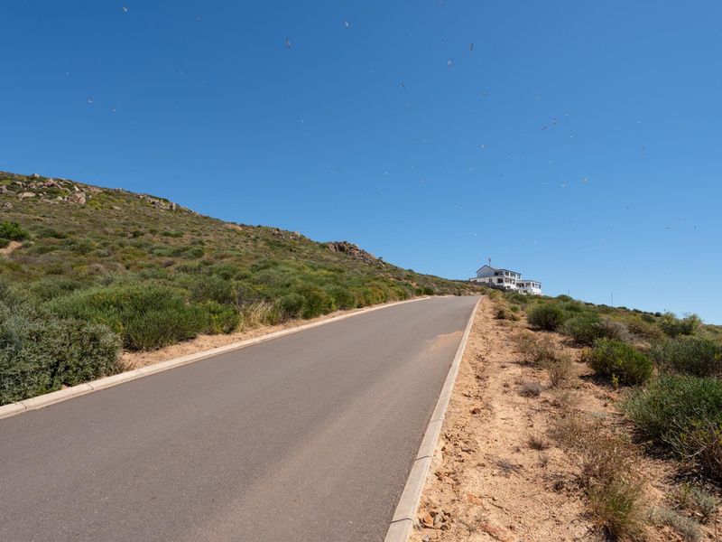 A paved asphalt road leading up a gentle incline through a natural, undeveloped landscape with native vegetation.