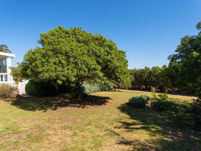A spacious, well-maintained garden featuring mature trees and a view of the adjacent covered patio area.