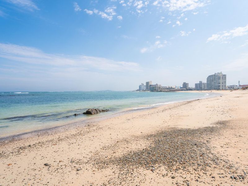 A scenic coastal view overlooking the sandy beach and ocean with the city skyline visible in the distance.