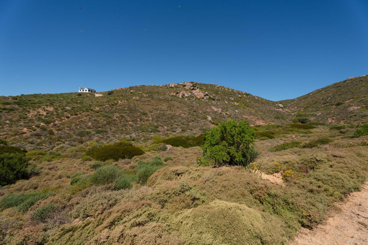 A scenic view of the natural hilly landscape and indigenous vegetation on the vacant residential property.