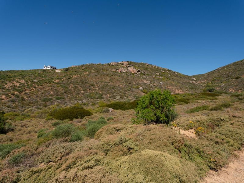 A scenic view of the natural hilly landscape and indigenous vegetation on the vacant residential property.