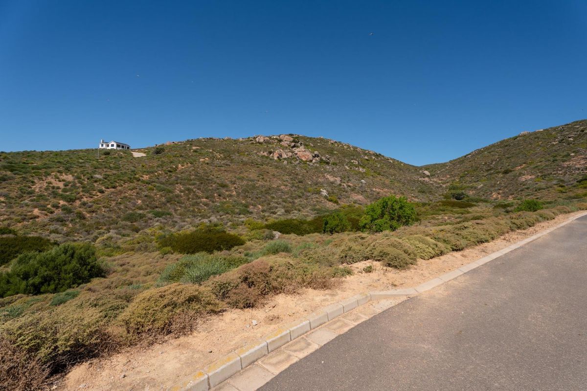 A view of the paved street and curb bordering the natural, hilly landscape of the vacant residential property.