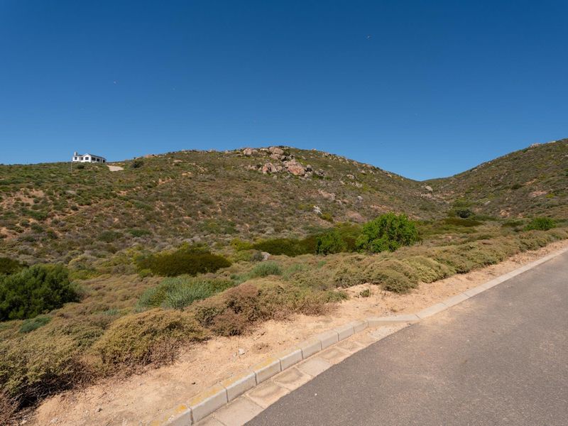 A view of the paved street and curb bordering the natural, hilly landscape of the vacant residential property.