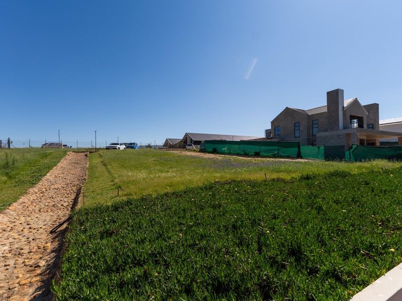 A view of a residential vacant land plot featuring a stone-lined drainage channel, manicured verge, and surrounding neighborhood development.