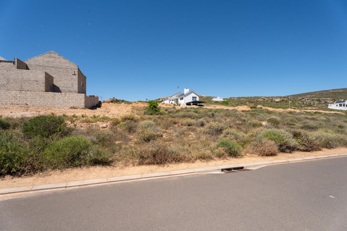 A view of a vacant residential plot featuring natural vegetation, adjacent to an asphalt road with established curb and drainage infrastructure.