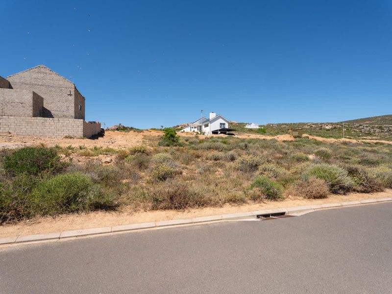 A view of a vacant residential plot featuring natural vegetation, adjacent to an asphalt road with established curb and drainage infrastructure.