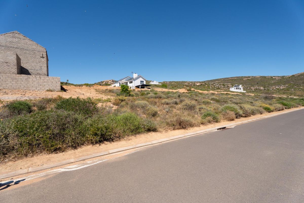 A street-level view of a vacant residential plot featuring natural vegetation, adjacent to a paved road with curb and drainage infrastructure.