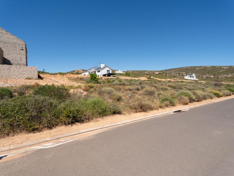 A street-level view of a vacant residential plot featuring natural vegetation, adjacent to a paved road with curb and drainage infrastructure.