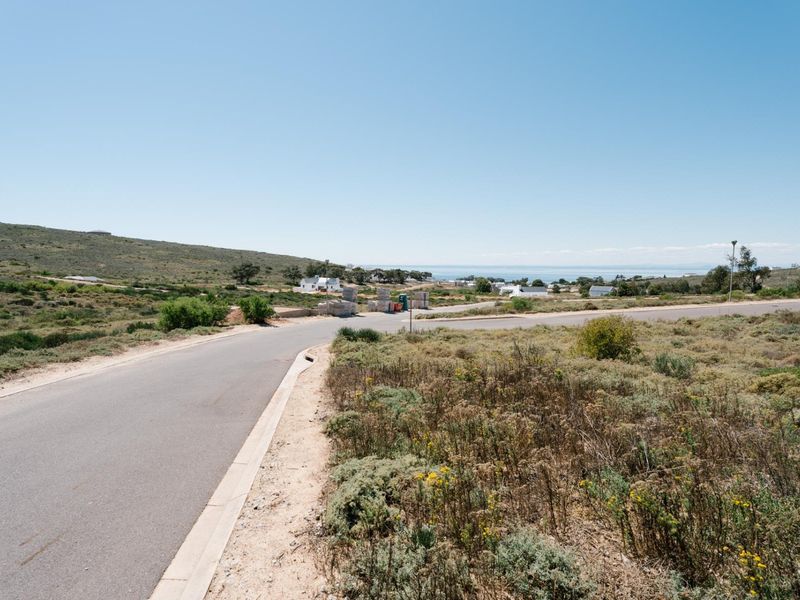 A view of the paved street and surrounding natural landscape in a residential area.