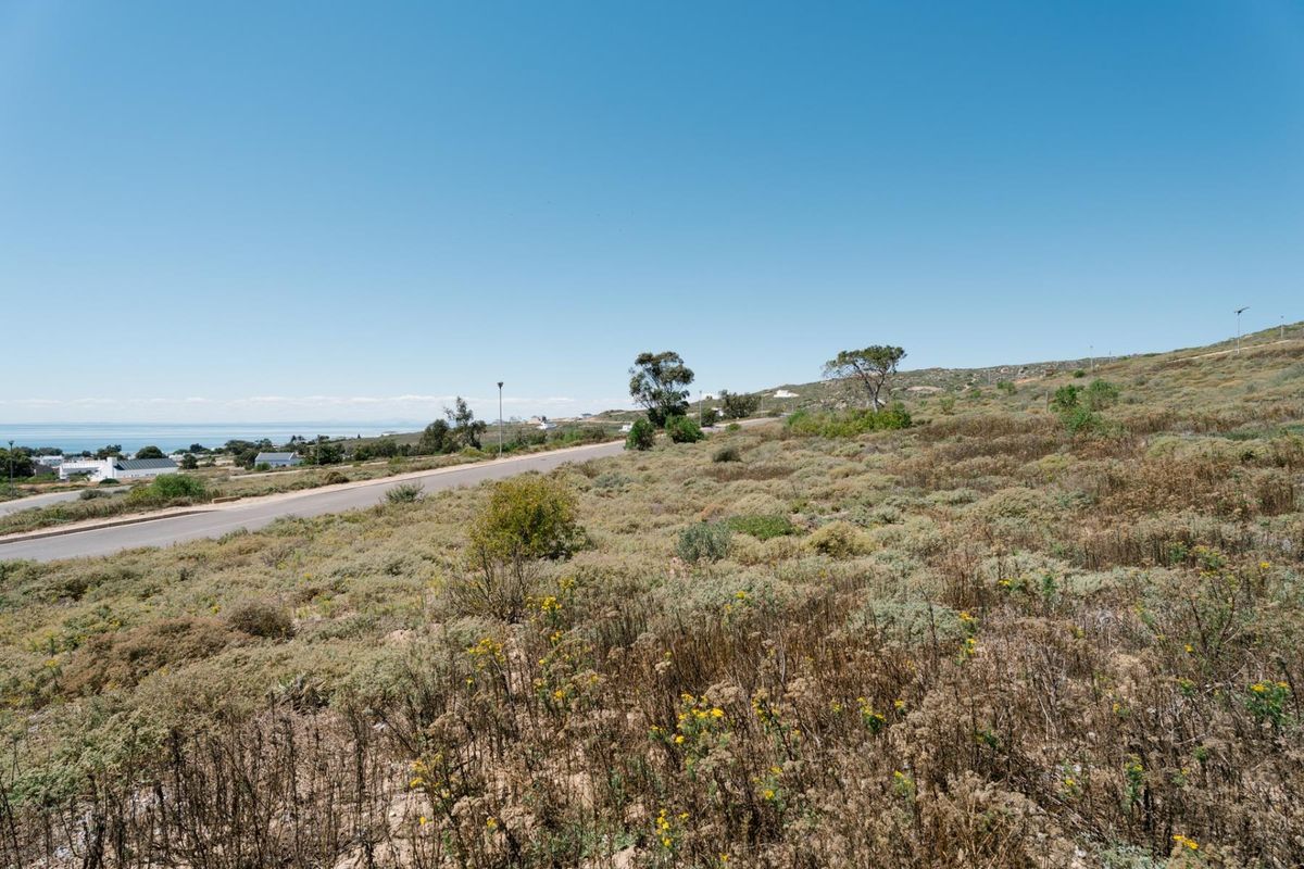 A scenic view of the vacant residential land featuring natural coastal vegetation and adjacent road access.