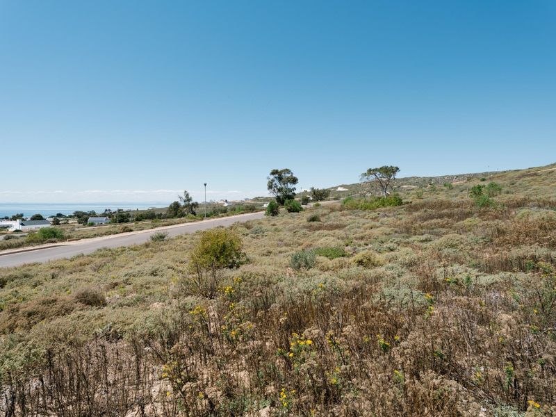 A scenic view of the vacant residential land featuring natural coastal vegetation and adjacent road access.