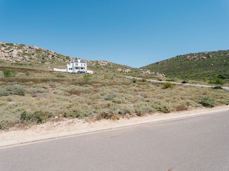 A view of a vacant residential plot featuring natural coastal vegetation, adjacent to a paved road with curb infrastructure.