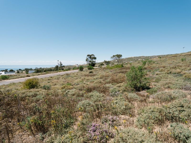 A view of a vacant residential plot featuring natural coastal vegetation and direct access to a paved road with distant ocean views.